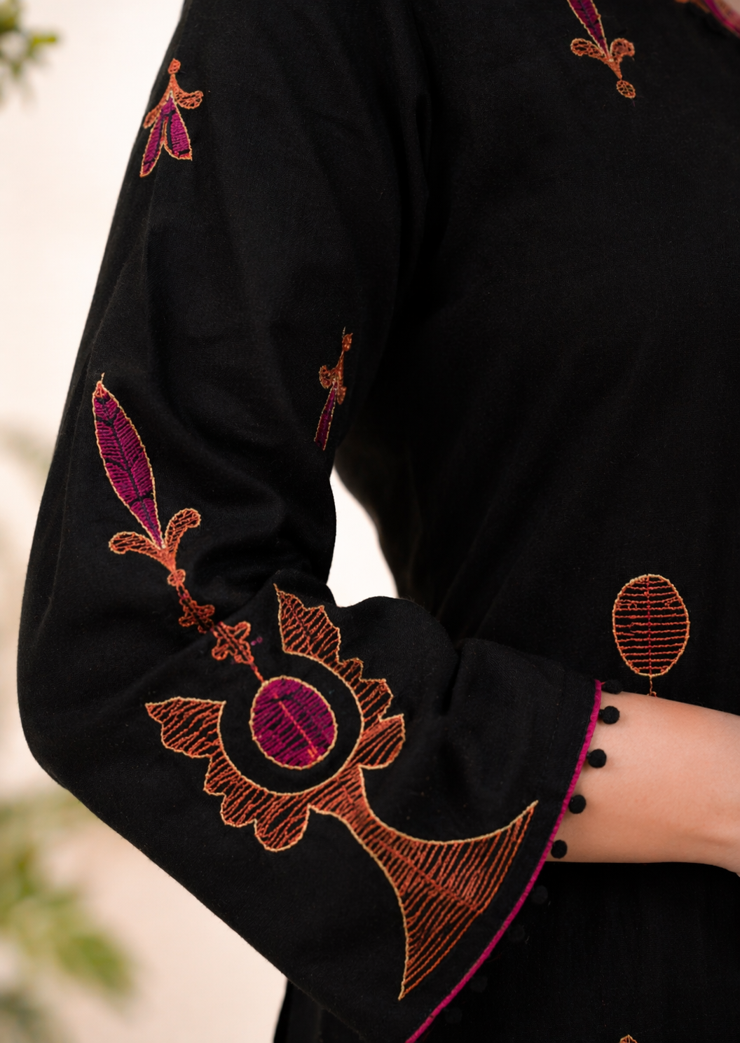 Midnight Noor Embroidered Suit